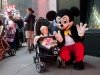 2010-05-23_h18m44s15_img_7752_max_800px_xy