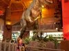 2010-05-23_h19m42s52_img_2299_max_800px_xy
