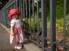 2010-05-29_h16m43s23_img_3037_max_800px_xy