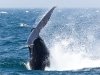 2010-06-01_h14m37s38_img_3185_max_800px_xy