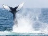 2010-06-01_h14m37s49_img_3189_max_800px_xy