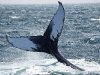 2010-06-01_h14m39s42_img_3207_max_800px_xy
