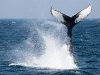 2010-06-01_h14m42s33_img_3219_max_800px_xy