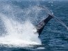 2010-06-01_h14m42s33_img_3220_max_800px_xy
