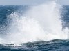 2010-06-01_h14m42s34_img_3223_max_800px_xy