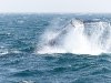 2010-06-01_h14m42s59_img_3230_max_800px_xy