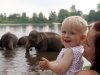 2010-06-27_h12m53s49_2010-06-27_h08m53s49_img_8531_max_800px_xy