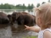 2010-06-27_h12m54s18_2010-06-27_h08m54s18_img_8534_max_800px_xy