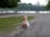 2010-06-27_h13m15s09_2010-06-27_h09m15s09_img_8586_max_800px_xy