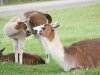 2010-06-27_h14m03s32_2010-06-27_h10m03s32_img_8619_max_800px_xy