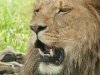 2010-06-27_h14m15s36_2010-06-27_h10m15s36_img_8647_max_800px_xy