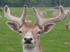 2010-06-27_h15m31s36_2010-06-27_h11m31s36_img_8862_max_800px_xy