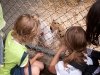 2010-06-24_h11m03s33_2010-06-24_h07m03s33_img_8443_max_800px_xy