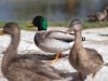 2010-10-01_h11m34s22_img-1151_web_max_800px_xy