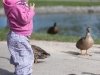 2010-10-01_h11m35s41_img-1153_web_max_800px_xy